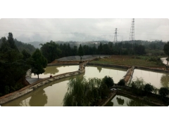 真情浇开幸福花